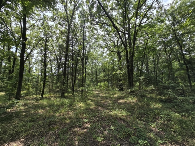Blackfork River Country Homesite - Adjoining National Forest - image 13