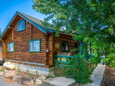 Colorado Mountain Log Home For Sale in Cedaredge, CO - image 4