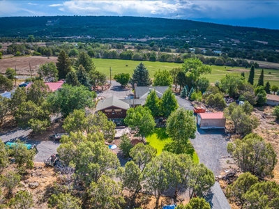 Colorado Mountain Log Home For Sale in Cedaredge, CO - image 30