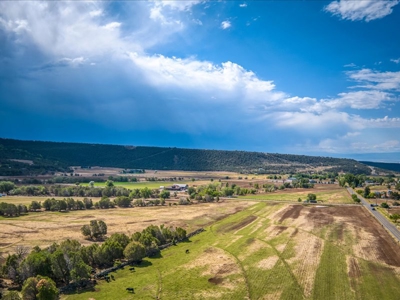 Colorado Mountain Log Home For Sale in Cedaredge, CO - image 32