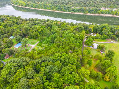 Wooded lot for sale near Cumberland River in Burnside KY - image 4