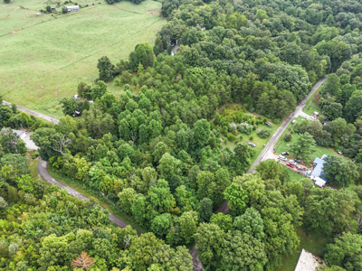 Wooded lot for sale near Cumberland River in Burnside KY - image 6
