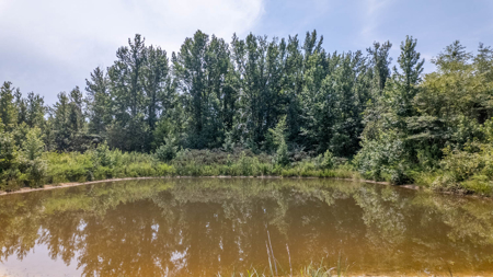 Custom Home on 96 Acres in Hector, Arkansas - image 42