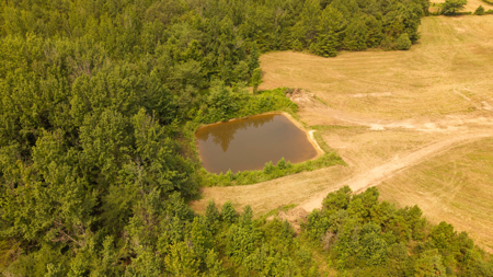 Custom Home on 96 Acres in Hector, Arkansas - image 36