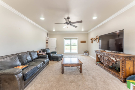 Custom Home on 96 Acres in Hector, Arkansas - image 17