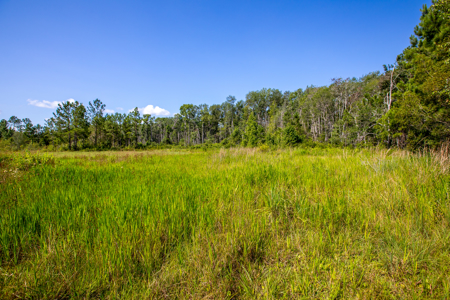 20 Acres for Sale in Madison, Florida - image 15