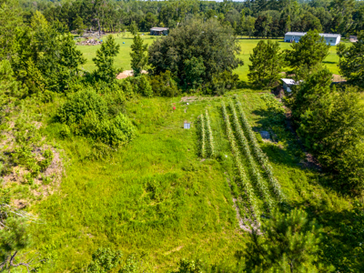 20 Acres for Sale in Madison, Florida - image 2