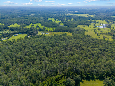 20 Acres for Sale in Madison, Florida - image 1