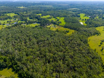 20 Acres for Sale in Madison, Florida - image 12