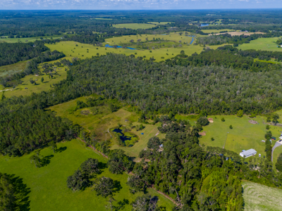 20 Acres for Sale in Madison, Florida - image 11