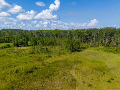 20 Acres for Sale in Madison, Florida - image 9