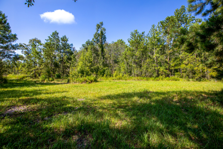 20 Acres for Sale in Madison, Florida - image 3