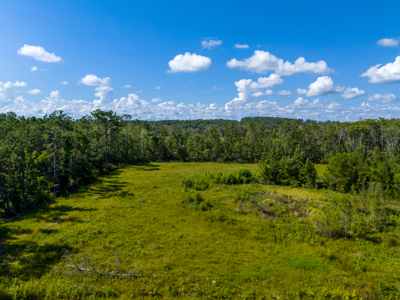 20 Acres for Sale in Madison, Florida - image 5