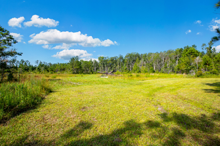 20 Acres for Sale in Madison, Florida - image 13