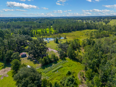 20 Acres for Sale in Madison, Florida - image 10