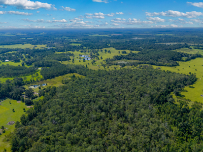 20 Acres for Sale in Madison, Florida - image 8
