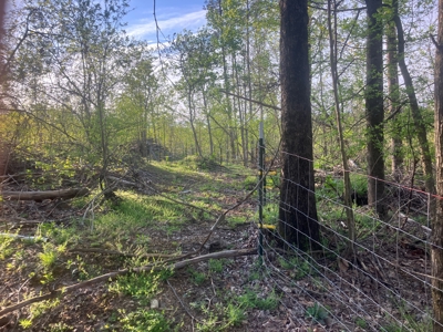For Sale 49.5 Ac Self Sufficient Prepper Land Timber Cabin Solar - image 36