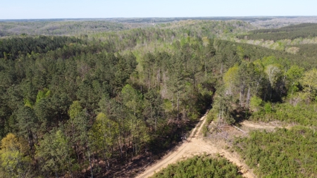For Sale 49.5 Ac Self Sufficient Prepper Land Timber Cabin Solar - image 27