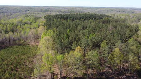 For Sale 49.5 Ac Self Sufficient Prepper Land Timber Cabin Solar - image 40
