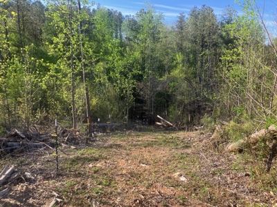 For Sale 49.5 Ac Self Sufficient Prepper Land Timber Cabin Solar - image 49