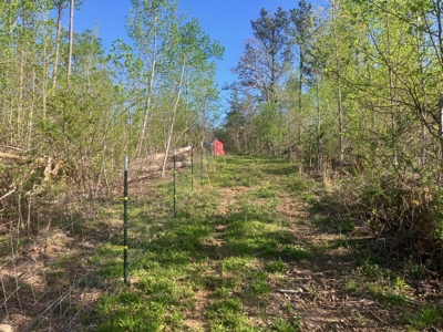 For Sale 49.5 Ac Self Sufficient Prepper Land Timber Cabin Solar - image 28