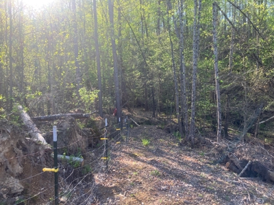 For Sale 49.5 Ac Self Sufficient Prepper Land Timber Cabin Solar - image 42