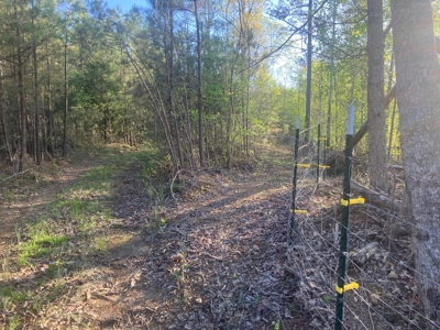 For Sale 49.5 Ac Self Sufficient Prepper Land Timber Cabin Solar - image 35
