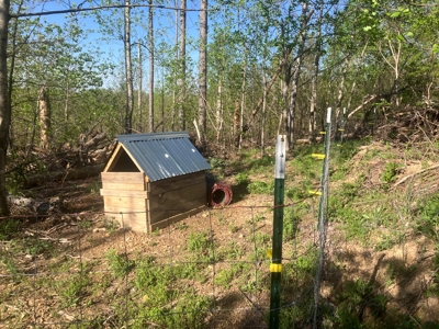 For Sale 49.5 Ac Self Sufficient Prepper Land Timber Cabin Solar - image 8