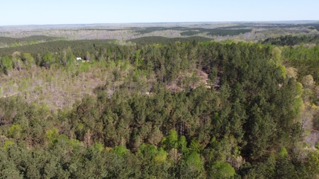 For Sale 49.5 Ac Self Sufficient Prepper Land Timber Cabin Solar - image 39