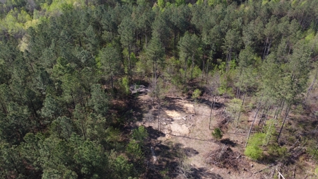 For Sale 49.5 Ac Self Sufficient Prepper Land Timber Cabin Solar - image 45