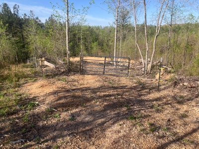 For Sale 49.5 Ac Self Sufficient Prepper Land Timber Cabin Solar - image 30