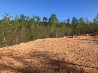 For Sale 49.5 Ac Self Sufficient Prepper Land Timber Cabin Solar - image 29