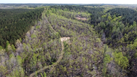 For Sale 49.5 Ac Self Sufficient Prepper Land Timber Cabin Solar - image 24