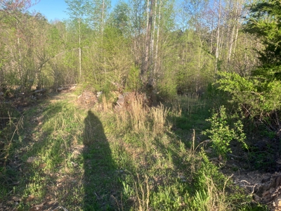 For Sale 49.5 Ac Self Sufficient Prepper Land Timber Cabin Solar - image 20