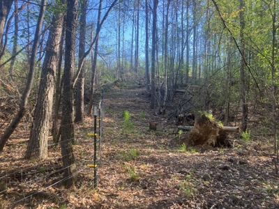 For Sale 49.5 Ac Self Sufficient Prepper Land Timber Cabin Solar - image 48