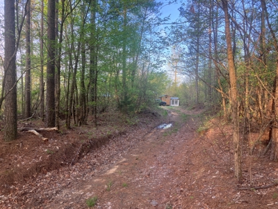 For Sale 49.5 Ac Self Sufficient Prepper Land Timber Cabin Solar - image 21