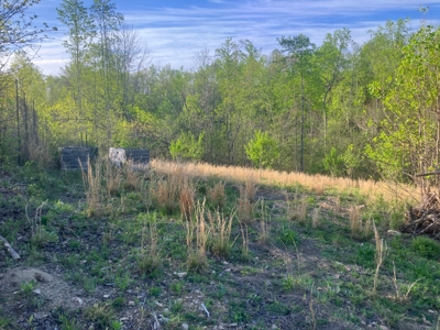 For Sale 49.5 Ac Self Sufficient Prepper Land Timber Cabin Solar - image 33