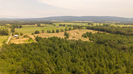 Country Home and Acreage for sale in Hector, Arkansas - image 40