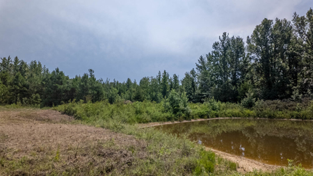 Country Home and Acreage for sale in Hector, Arkansas - image 43