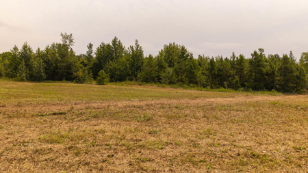Country Home on 40 Acres in Hector, Arkansas - image 38