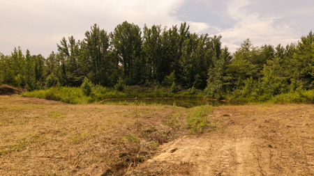 Country Home on 40 Acres in Hector, Arkansas - image 39