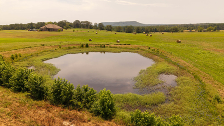 Country Home on 40 Acres in Hector, Arkansas - image 48