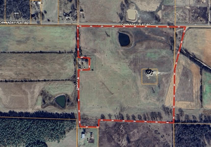 Country Home on 40 Acres in Hector, Arkansas - image 2