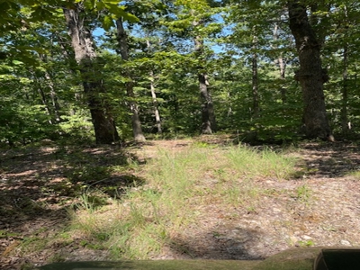 Cave With Natural Water In Yellville - image 9