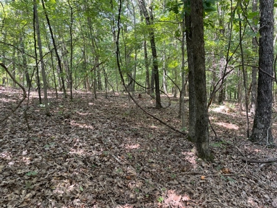 Cave With Natural Water In Yellville - image 25