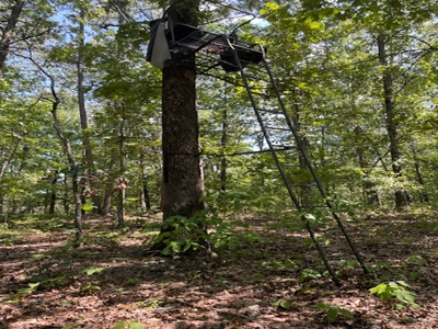Cave With Natural Water In Yellville - image 8