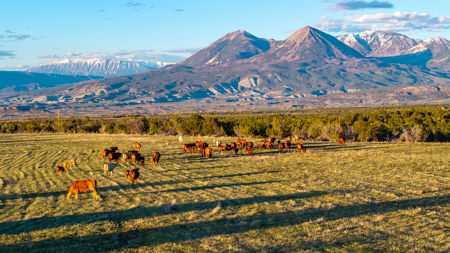 Country Home on Acreage For Sale in Crawford, CO - image 46