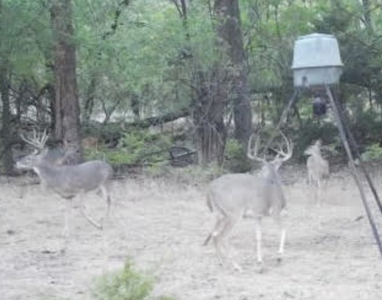 Hunting and Cattle Ranch for Sale in Oklahoma - image 12