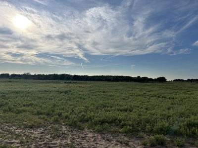 Hunting and Cattle Ranch for Sale in Oklahoma - image 17