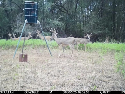 Hunting and Cattle Ranch for Sale in Oklahoma - image 3